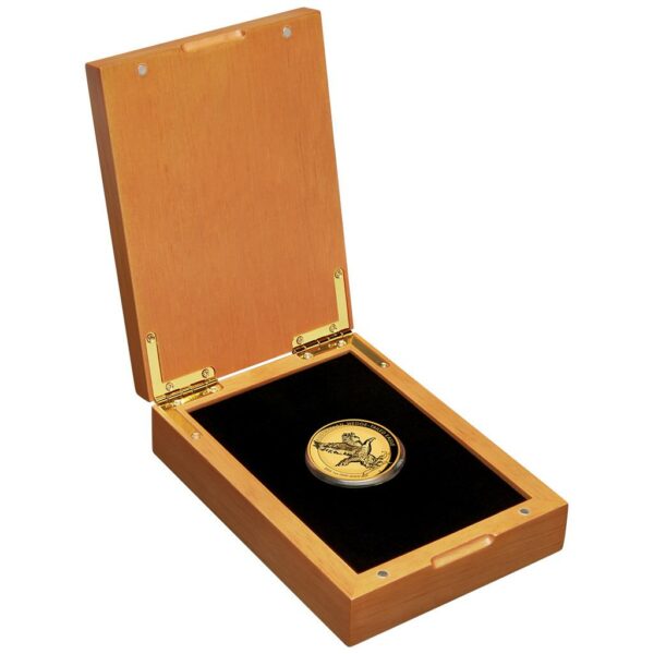 Wedge-Tailed Eagle - Keilschwanzadler - 2023 - 1 OZ Gold - Polierte Platte - High Relief Incused – Bild 4