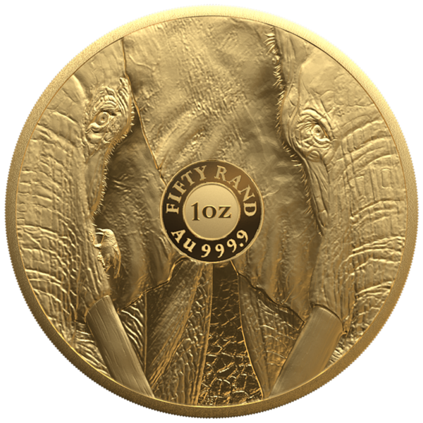 BIG FIVE 2024 PP - Serie III - ELEFANT - 1 OZ GOLD - Polierte Platte – Bild 2
