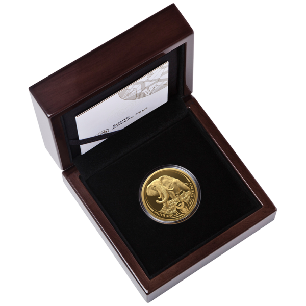 BIG FIVE 2024 PP - Serie III - ELEFANT - 1 OZ GOLD - Polierte Platte – Bild 3