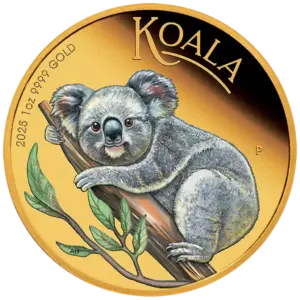 Australian Koala 2025 - 1 OZ Gold - Coloriert - Polierte Platte